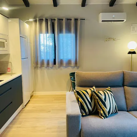 Singulares Maestro24