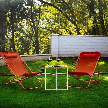 Singulares Maestro24