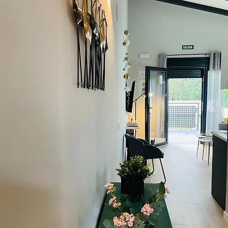 Singulares Maestro24 Appartement *