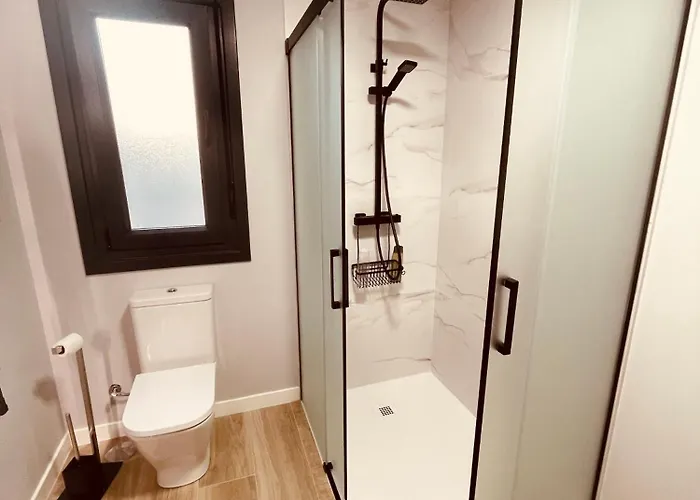 Singulares Maestro24 *