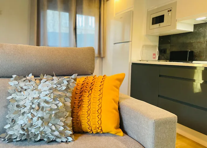 Singulares Maestro24