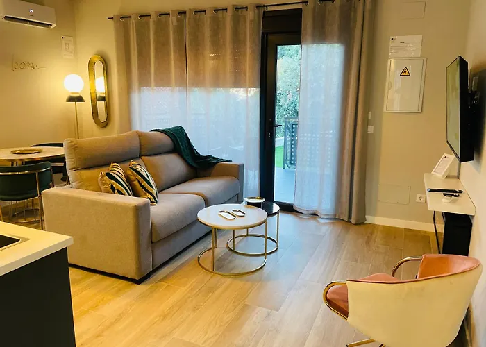 Singulares Maestro24 *