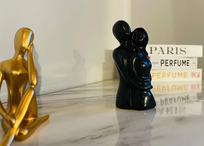 Singulares Maestro24