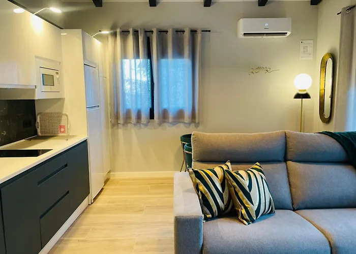 Singulares Maestro24