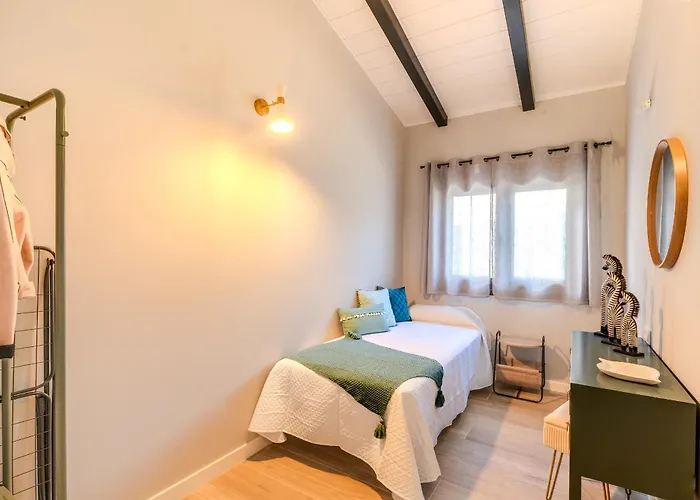 Singulares Maestro24