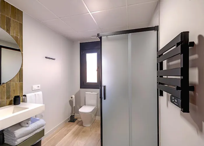 Singulares Maestro24 图瑞蒙戈